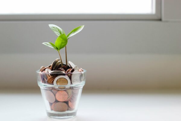 savings with a plant growing